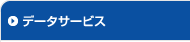 データサービス